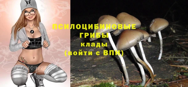 СК Аркадак