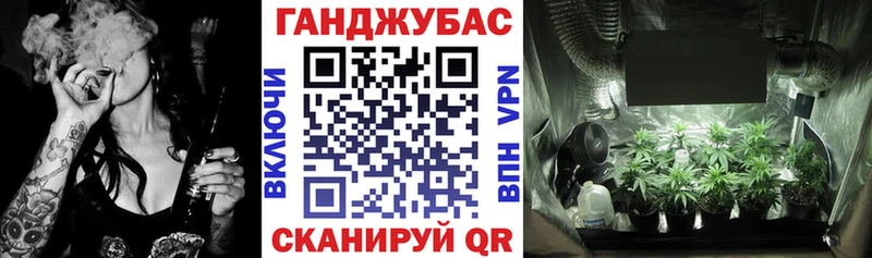 сколько стоит  Судогда  Бошки Шишки планчик 